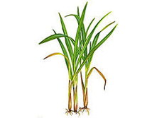 ���*���� ���*�� ���*�������