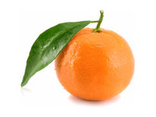 ���*���� ��*��� ���*����� ����*���