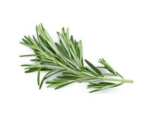 ��*����� ��*��� ���*�����