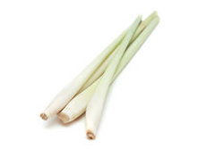 ���*���� ��*��� ������*����