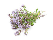 �����*�� ���*�� ��*����