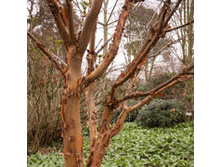 ��*����� ���*�� ����*�� ��*����