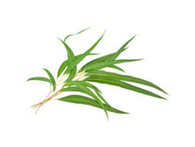 ���*���� ��*��� ����*���� �����*�����