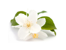 ����*��� ���*�� ���*��� ���*����