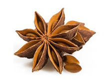 ���*���� ��*��� �*��� ����*������