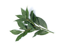 ����*��� ���*�� �*��