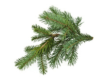 ��*����� �*���� �*��