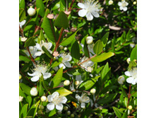 ���*���� ��*��� ��*��