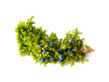 ���*���� ��*��� ���*��������� ��*���