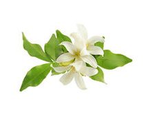 ���*���� ���*�� ���*���