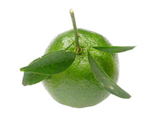 ����*��� ���*�� ���*������