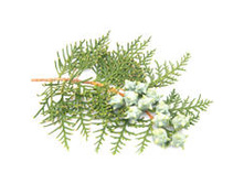 ��*����� ��*��� ���*����