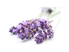 ���*���� ���*�� ����*���