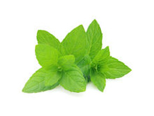 ��*����� �*���� ��*�� ����*����