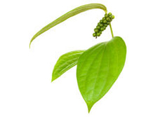 ����*��� �*���� ��*��� ���*���