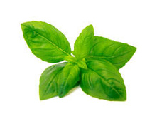 ���*���� �*���� ����*���