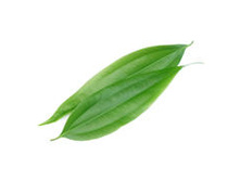 ���*���� �*���� ��*���� ����*��