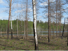 ������� �����-��