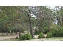 � ��������� \"�������\"