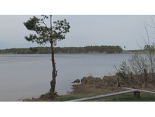 ��. ������� ��� ���