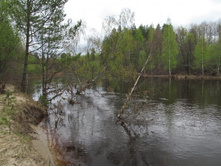 �. �����