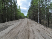 ���� ������. ��������