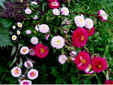 ����� ������.JPG