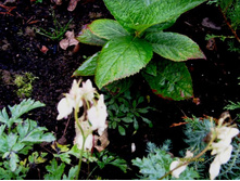 �������� ������ ��� ������.JPG