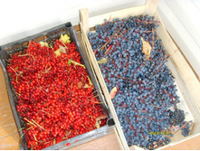 ������ � �������� �����.JPG