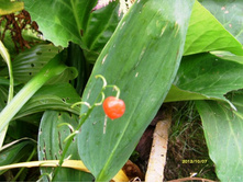 ������ ������� ������.JPG