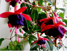 ������ ����.JPG