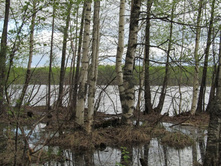 ������������ ����� �������