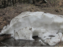 ������� �����