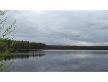 ��. ��������