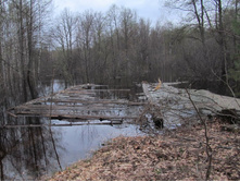 �. ����. �������� ����