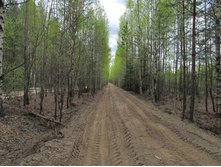 ������ �����������