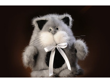 ����� �������