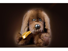 ������ � ��������