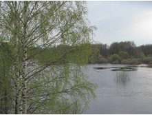 �. ��������