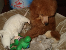 DSC00901.JPG