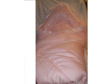 15.09.2010 22:41:32