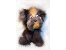 ������ � ��������