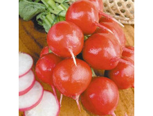 ����� ���� 4,89.jpg