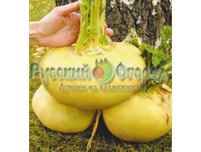 ���� ������� ������ 6,99.jp.jpg