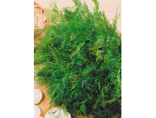 ����� ���������� -4,59.jpg