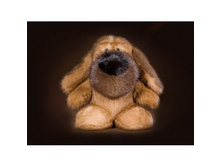 ������ ��.���