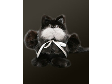 ����� �������