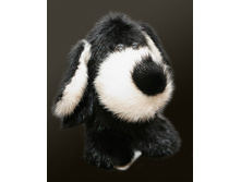 ������ ��.���