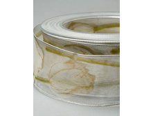 ����� DA VINCI.JPG