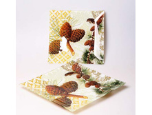 ����� �������4.jpg